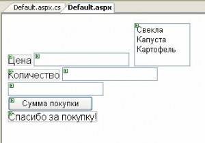 форма на асп