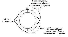 окна Питерсона