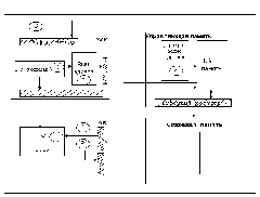 Структура процессора с конвейеризацией команд