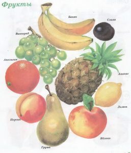 Учим названия фруктов