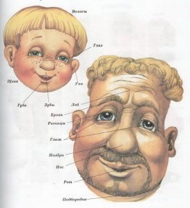 Лицо - словарный запас для малыша