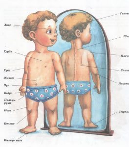 Тело ребенка - учим слова